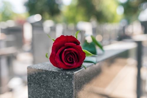 Red rose on top of a tombstone